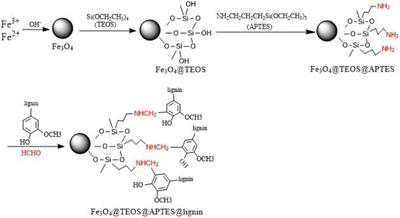 Preparation of Lignin-Based Magnetic Adsorbent From Kraft Lignin for Adsorbing the Congo Red